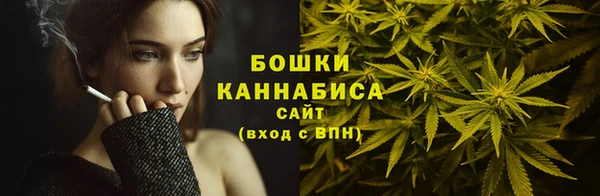 ALPHA-PVP Вяземский