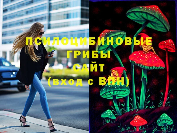 мяу мяу мука Абаза