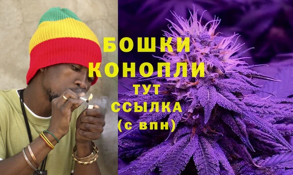 мяу мяу мука Абаза